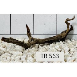 Spiderwood 563