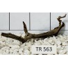 Spiderwood 563