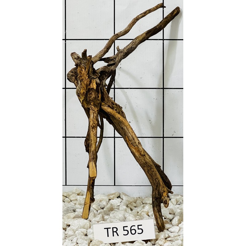Spiderwood 565