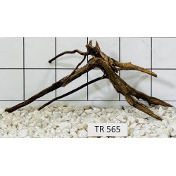 Spiderwood 565