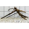 Spiderwood 565