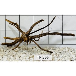 Spiderwood 565