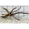 Spiderwood 565