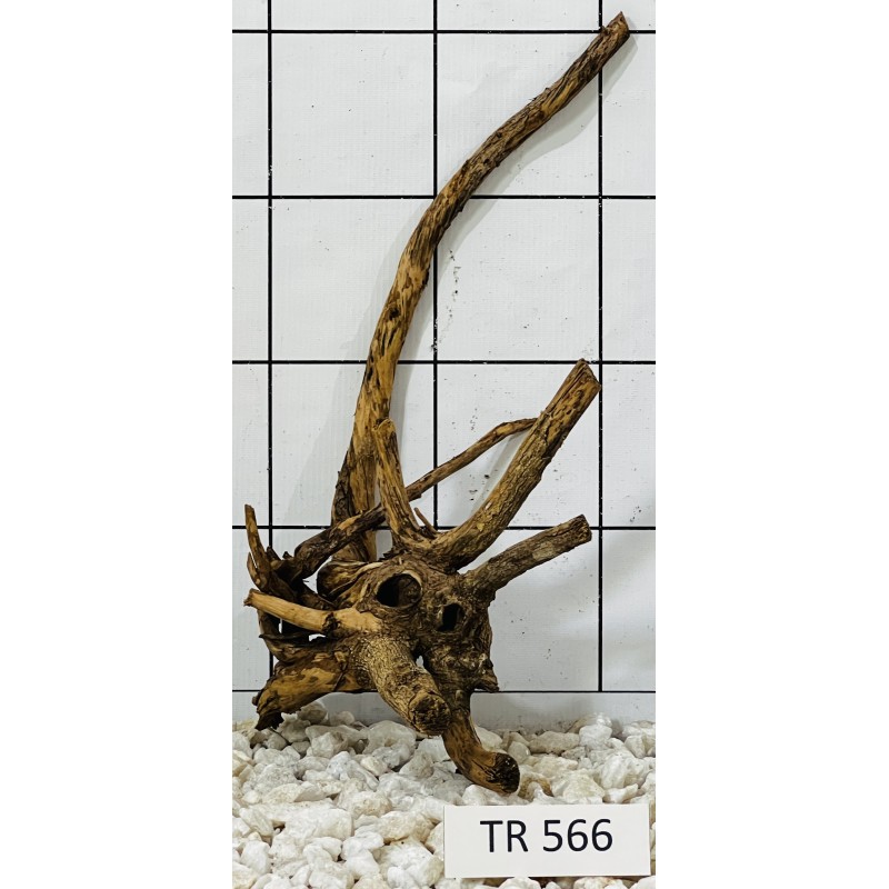 Spiderwood 566
