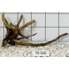 Spiderwood 566