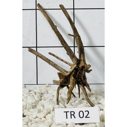 Spiderwood 02