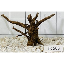 Spiderwood 568