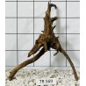 Spiderwood 569