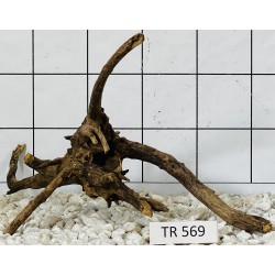 Spiderwood 569