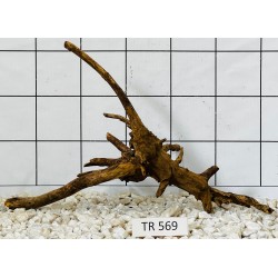 Spiderwood 569