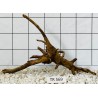 Spiderwood 569
