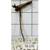 Spiderwood 570