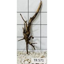 Spiderwood 571