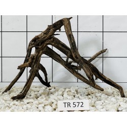 Spiderwood 572