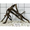 Spiderwood 572