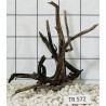 Spiderwood 572
