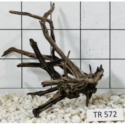 Spiderwood 572