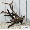 Spiderwood 572