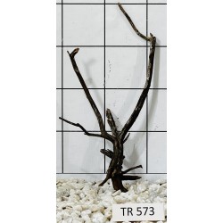 Spiderwood 573