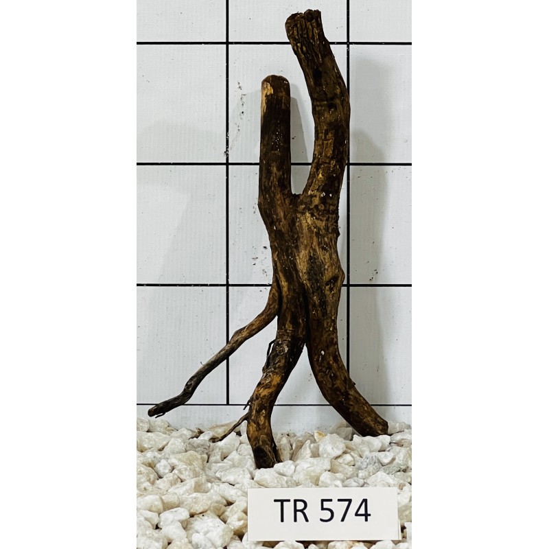 Spiderwood 574