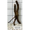 Spiderwood 574