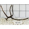 Spiderwood 575