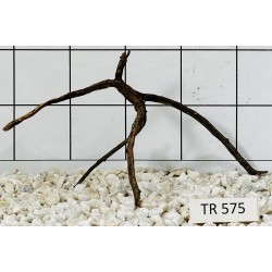 Spiderwood 575