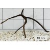 Spiderwood 575