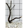 Spiderwood 576
