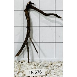 Spiderwood 576