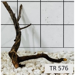 Spiderwood 576