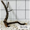Spiderwood 576