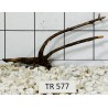 Spiderwood 577