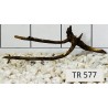 Spiderwood 577