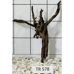 Spiderwood 578