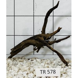 Spiderwood 578
