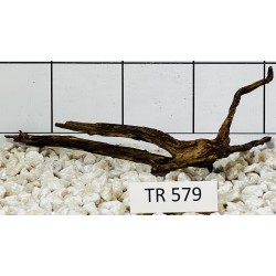 Spiderwood 579