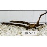 Spiderwood 579