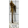 Spiderwood 582