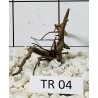 Spiderwood 04