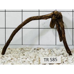Spiderwood 585