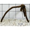 Spiderwood 585