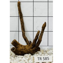 Spiderwood 585
