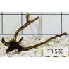 Spiderwood 586