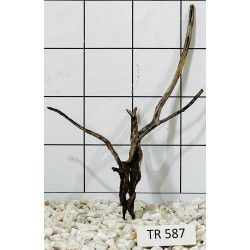 Spiderwood 587
