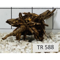Spiderwood 588