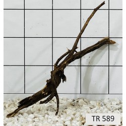 Spiderwood 589