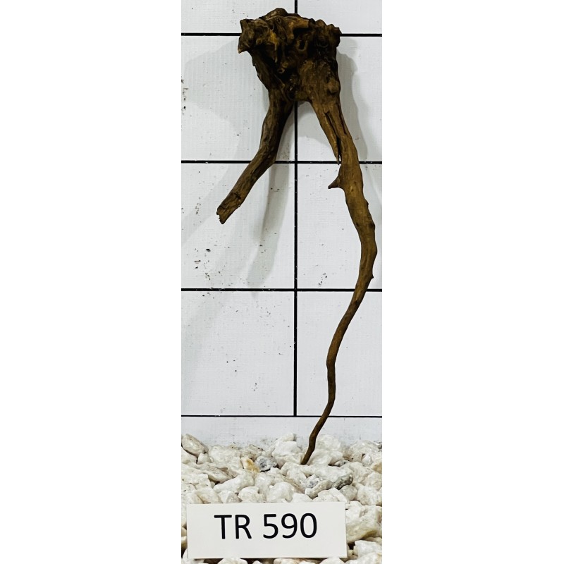 Spiderwood 590