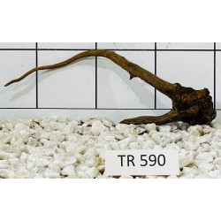 Spiderwood 590