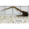 Spiderwood 590